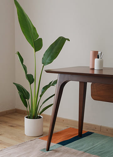Dining Room Furniture